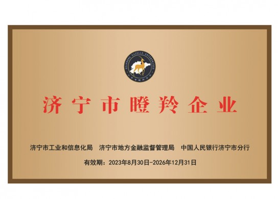 济宁市瞪羚企业