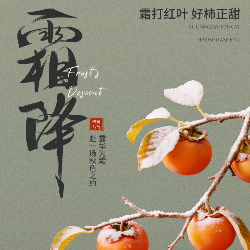 霜降：在沉淀中积蓄力量